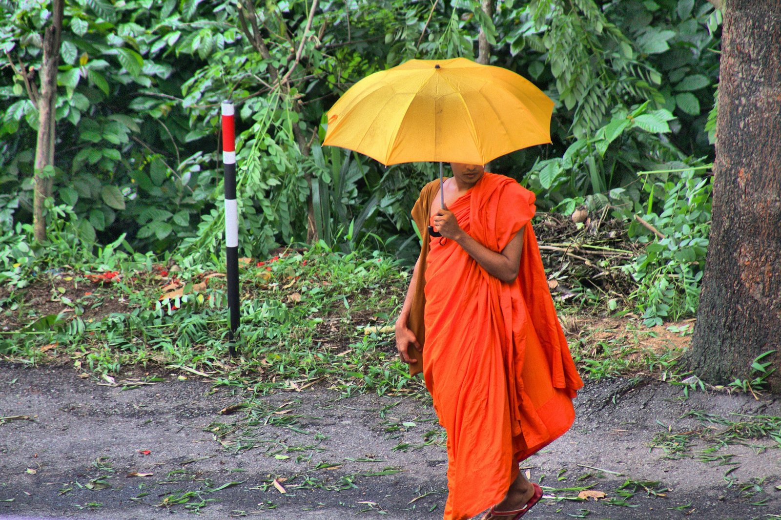 Buddhist Monk : About Srilanka